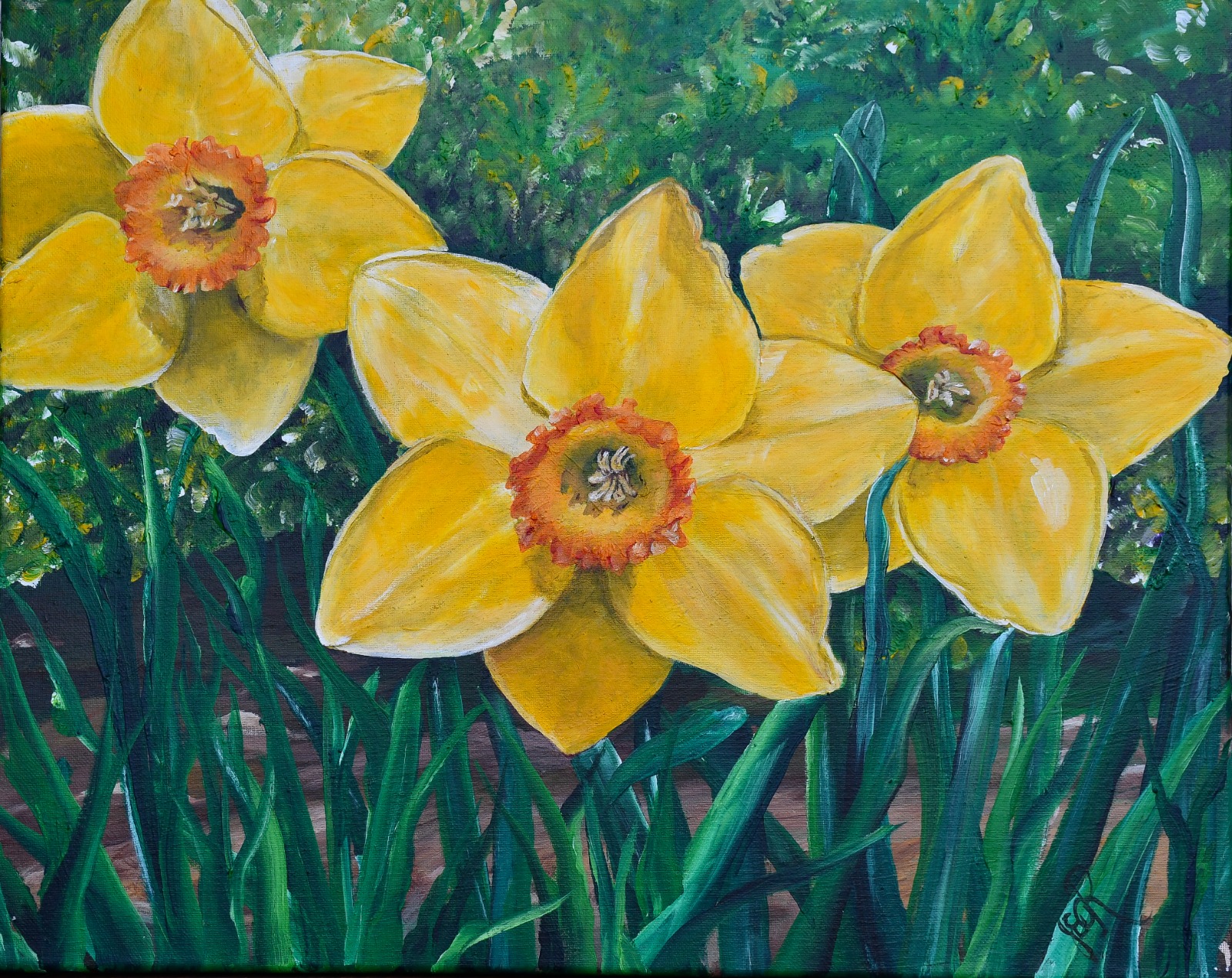 Daffodils on Medinah Lane
