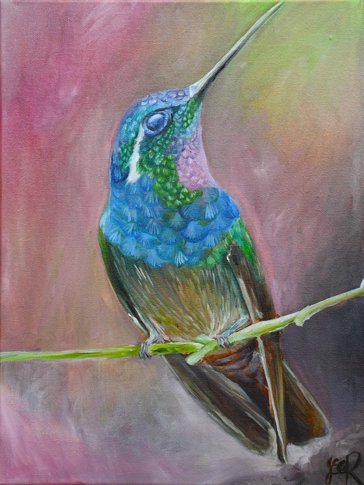 Hummingbird