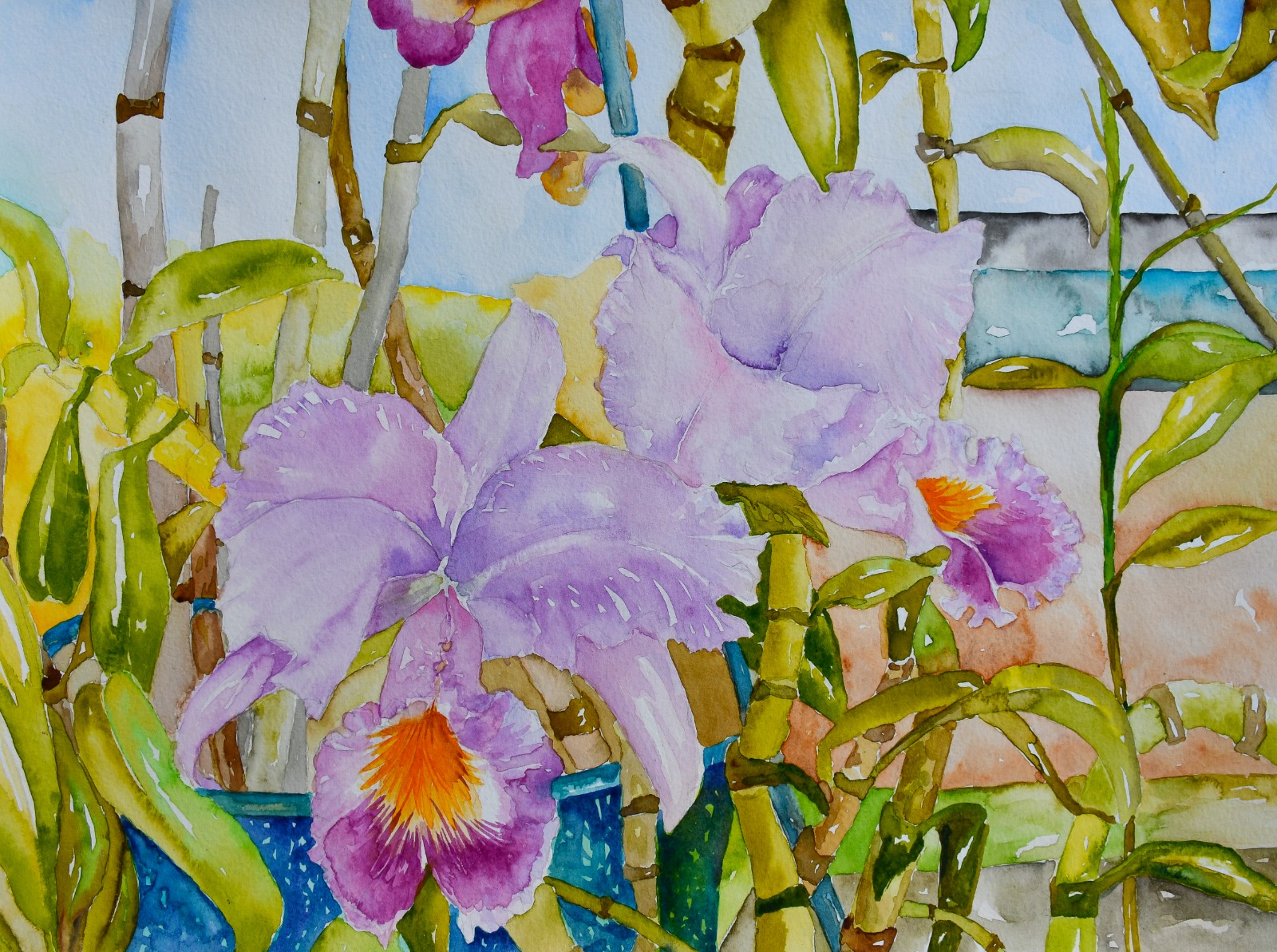 Jamaican Orchids